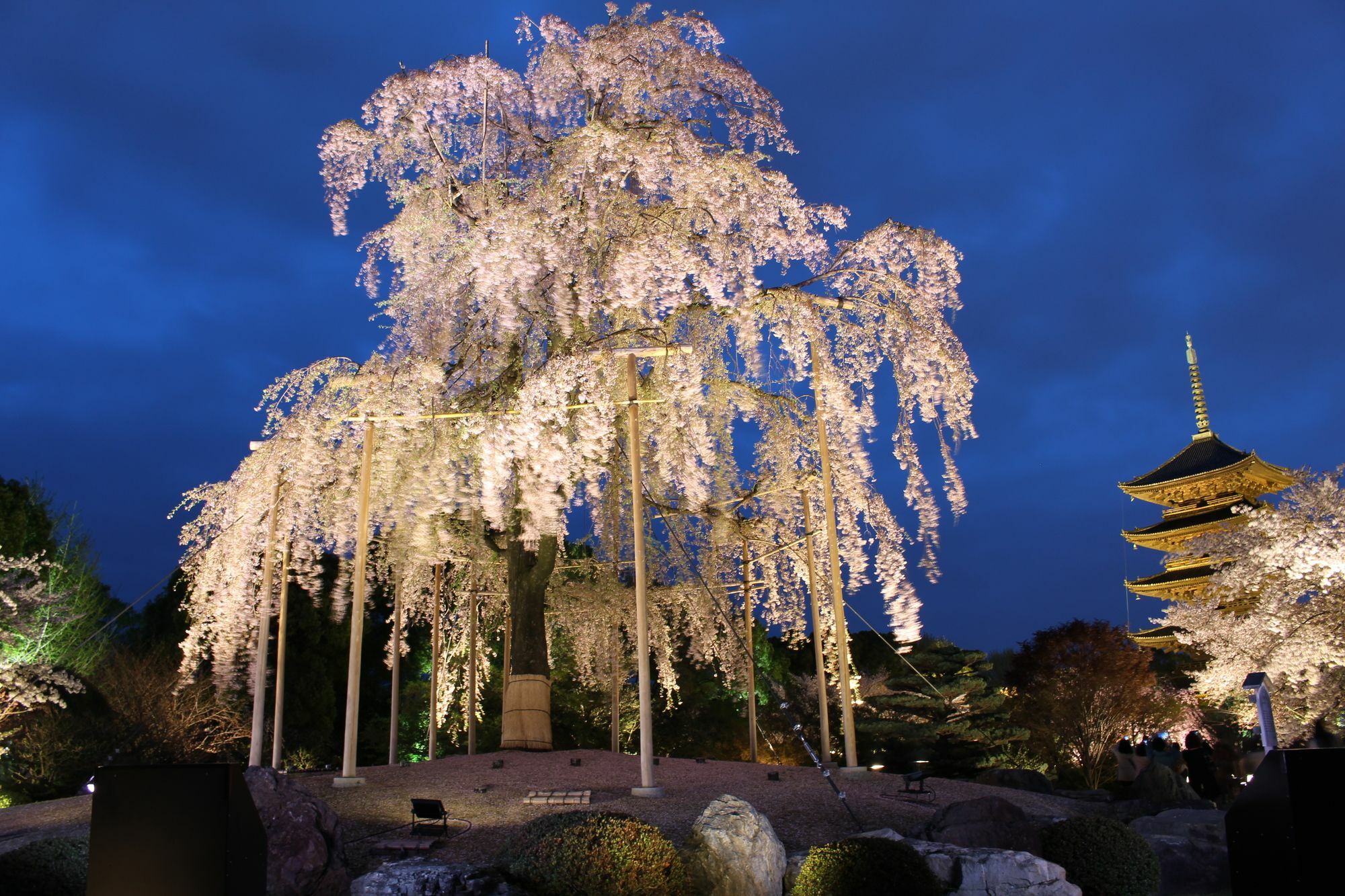 Stay Sakura Kyoto Nijo Seasons Dış mekan fotoğraf